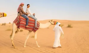 camel rides